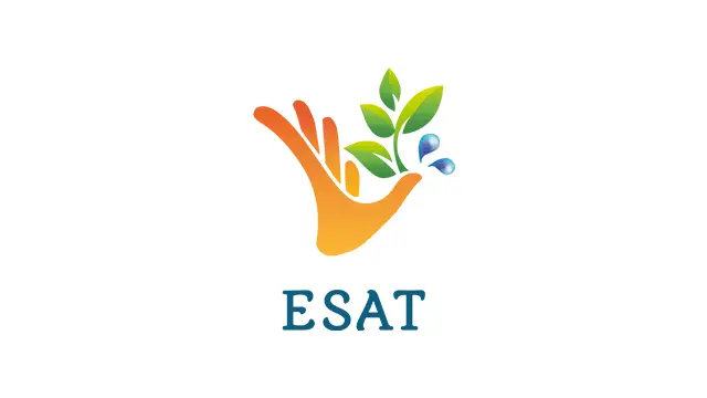 Logo ESAT